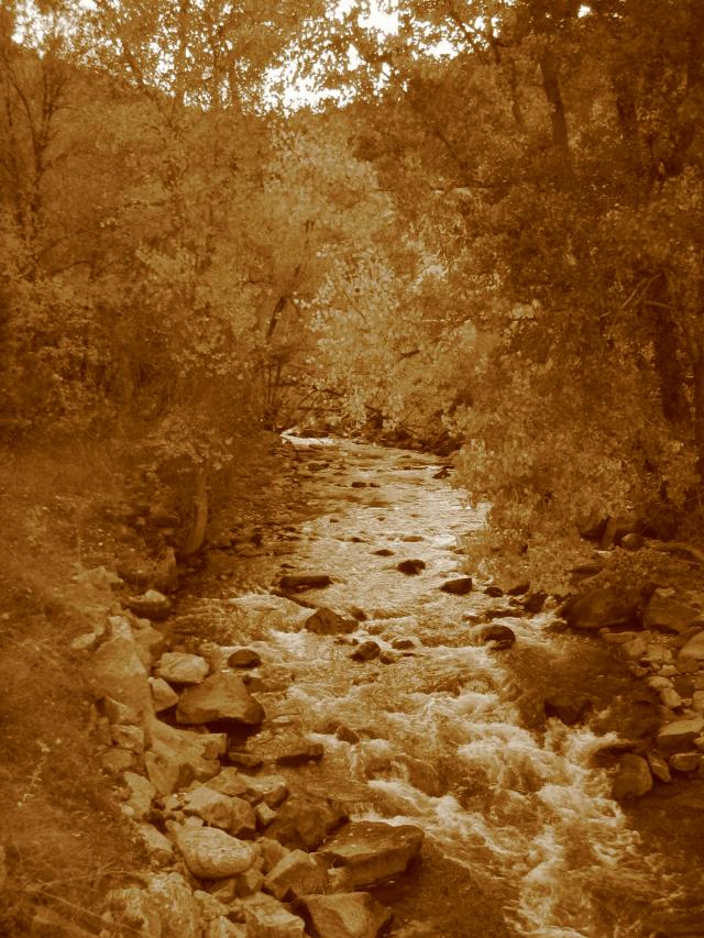 2004/10 Oct/640x480_041008 boulder creek2.JPG